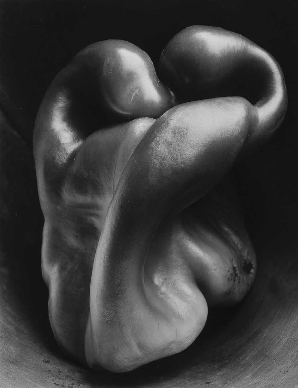 Still life of pepper number 30 by Edward Weston