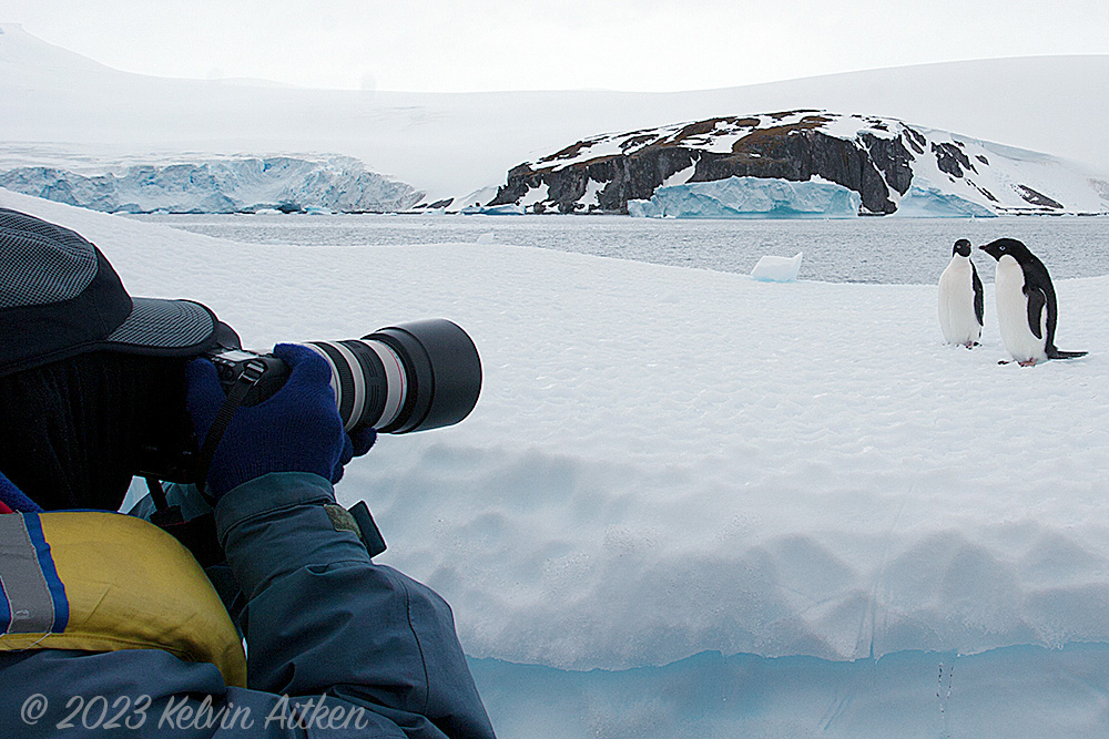 Photographer with penguins in Antarctica