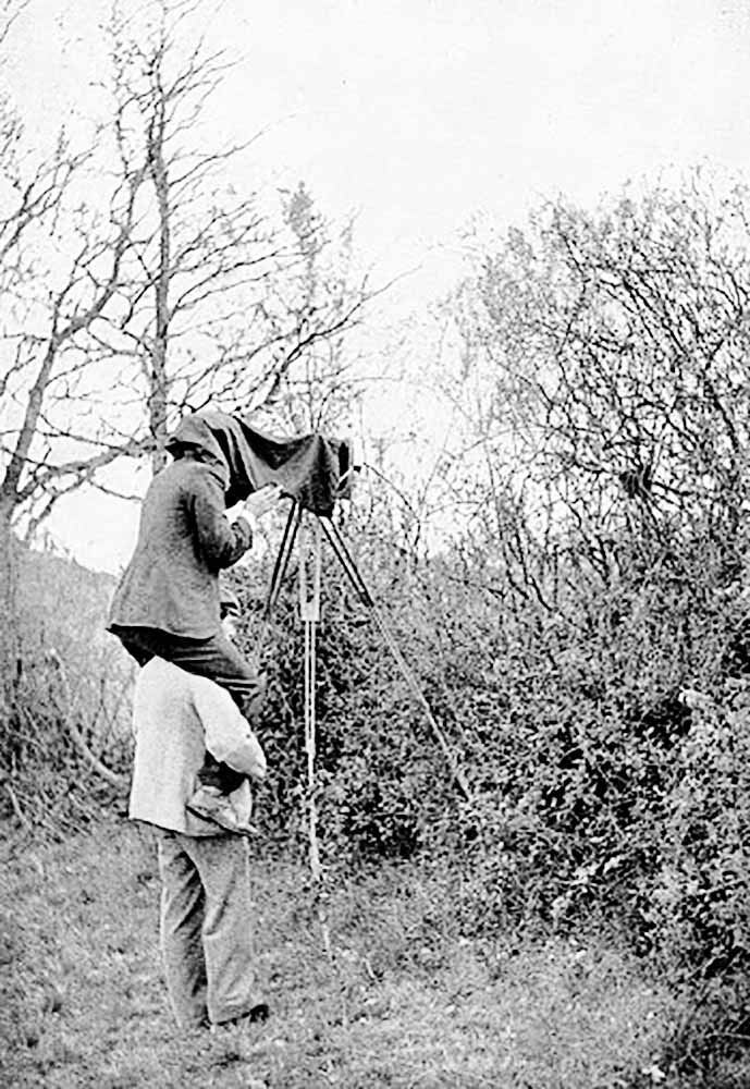 Photographers taking photos of bird nesting