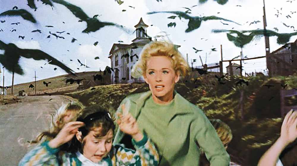 Screenshot from the Hitchcock movie, Birds
