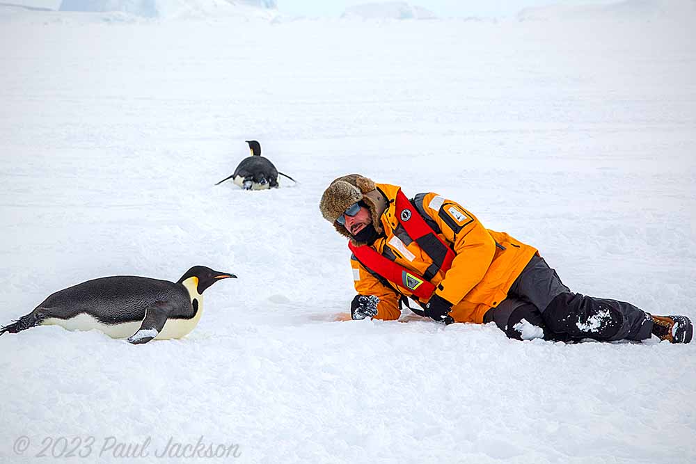 Photographer with emperor penguin in antarctica