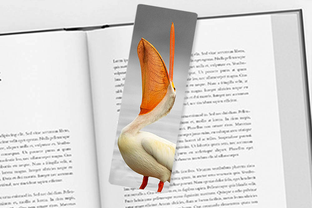 Bookmark with bird image.