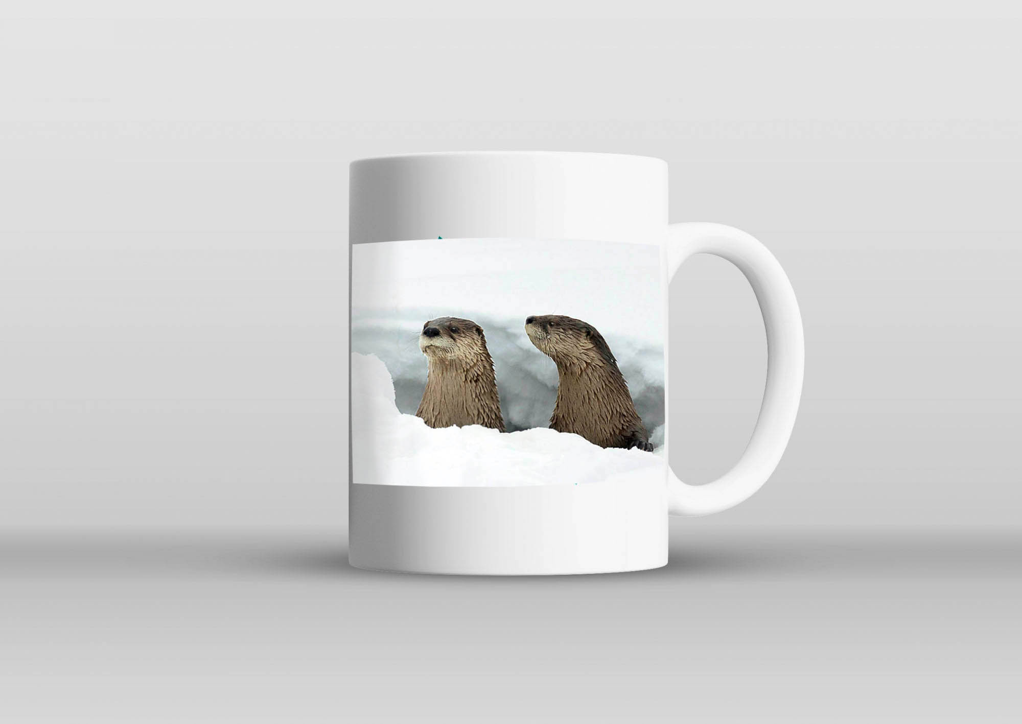 Mug with otter photo.