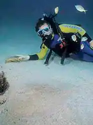 Coffin Ray (Hypnos monopterygium) with diver.