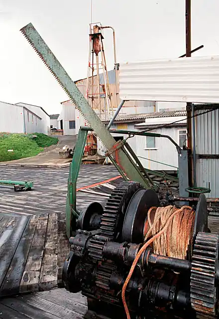 Saw to remove heads of slaughtered whales at whaling station.